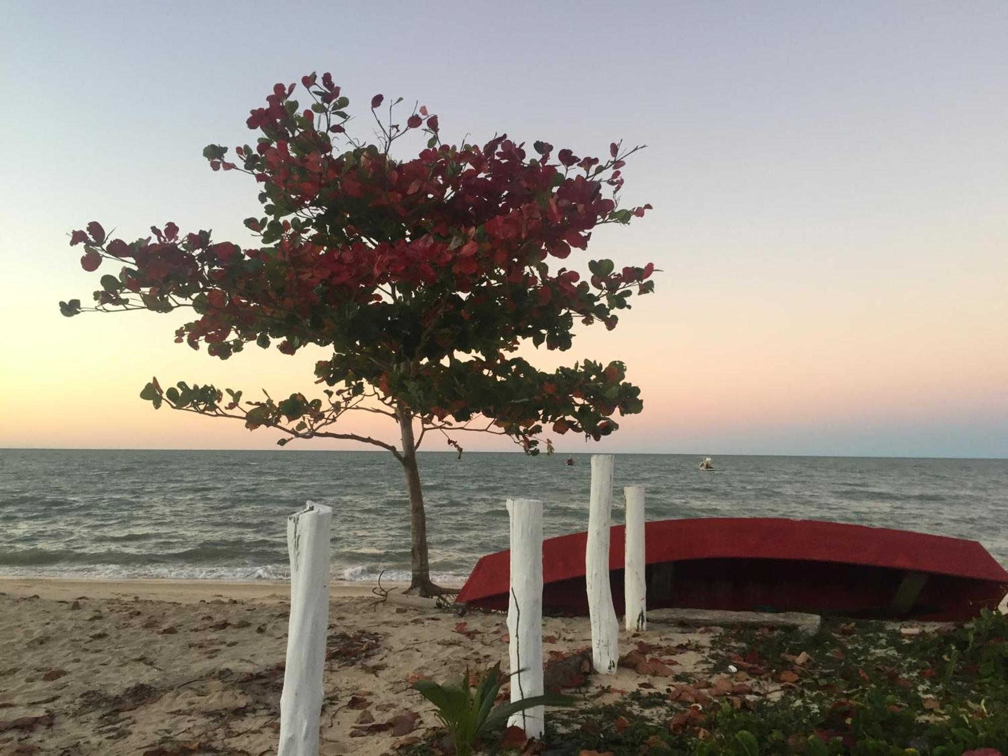 Chales Mata Da Praia Corumbau Esterno foto